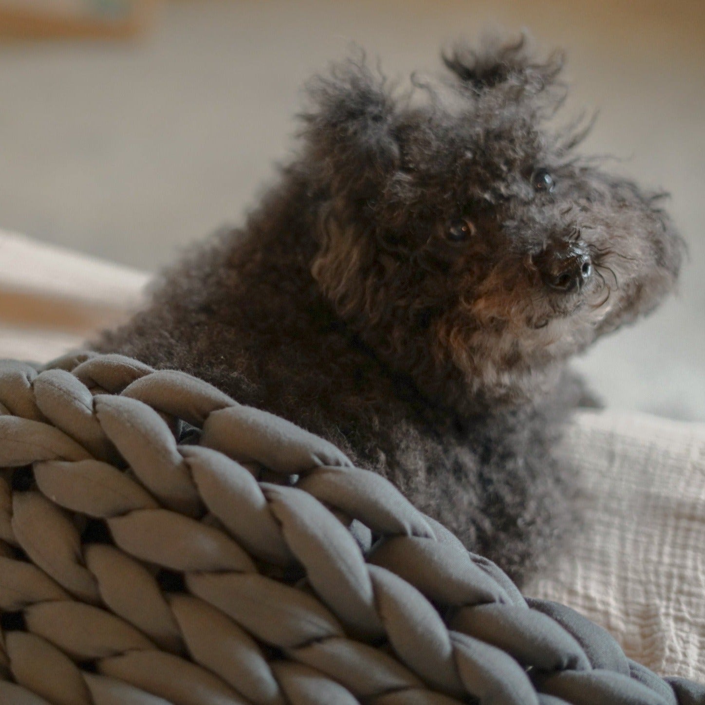 [ M: 5kg ] ENBRY ウェイテッドブランケット ENBRY Embraceable You Weighted Blanket - ENBRY