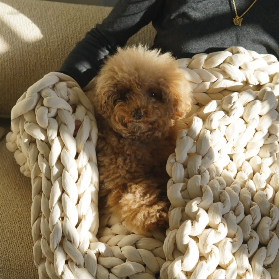 SS: 2.5kg ] ENBRY FOR PAWS ウェイテッドブランケット / ENBRY