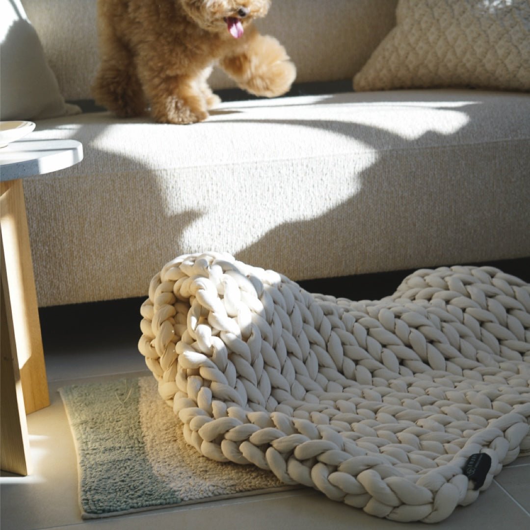 SS: 2.5kg ] ENBRY FOR PAWS ウェイテッドブランケット / ENBRY